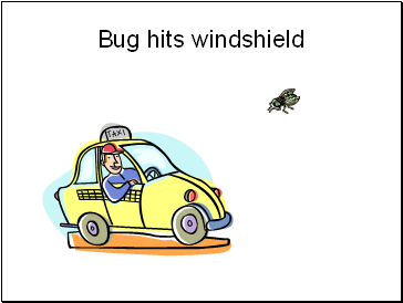 Bug hits windshield
