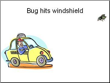 Bug hits windshield
