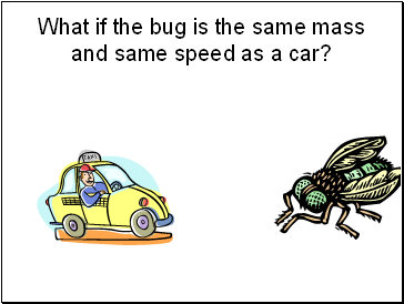 What if the bug is the same mass and same speed as a car?