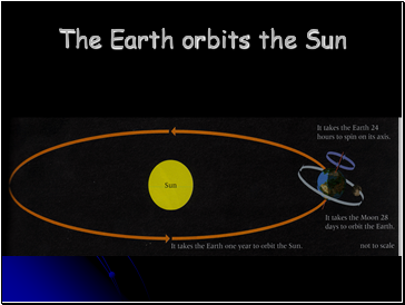 The Earth orbits the Sun