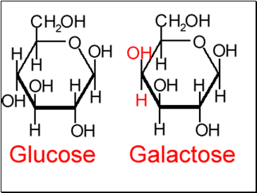 Sugars