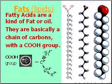Fatty Acids are a kind of Fat or oil.