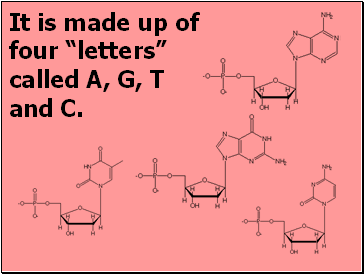 It is made up of four letters called A, G, T and C.