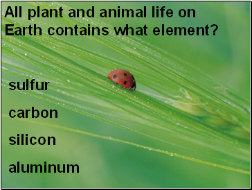 All plant and animal life on Earth contains what element?