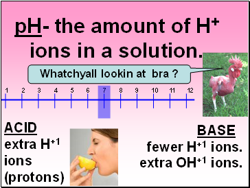 pH- the amount of H+ ions in a solution.