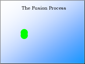 The Fusion Process