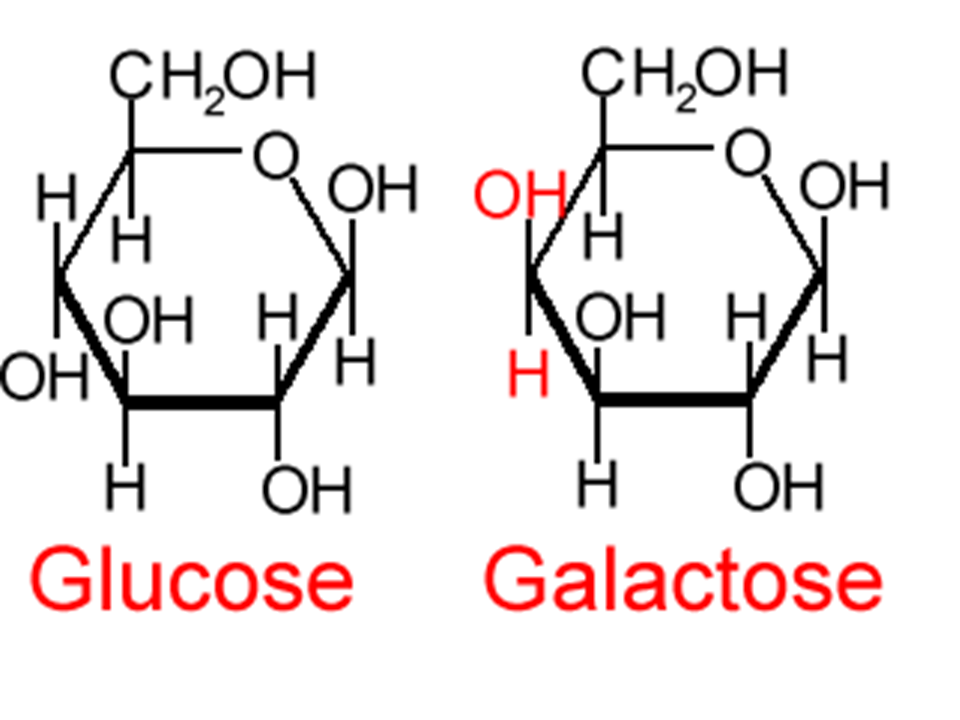 Галактоза циклическая формула. Фруктоза формула Хеуорса. Галактоза Хеуорса. Д галактоза формула Хеуорса.