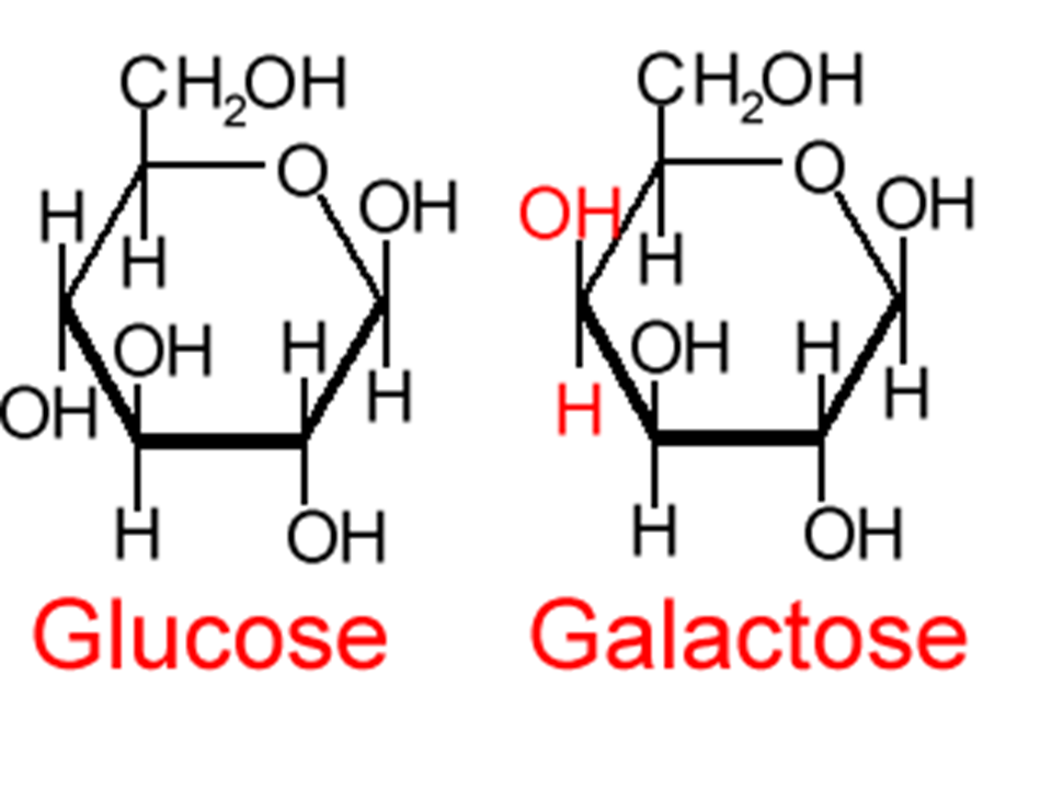 Галактоза циклическая формула. Фруктоза формула Хеуорса. Галактоза Хеуорса. Д галактоза формула Хеуорса. Фруктоза циклическая