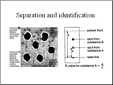 Separation and identification.