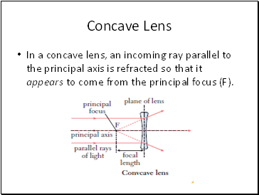 Concave Lens