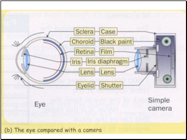 Optical instruments