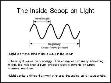 The Inside Scoop on Light