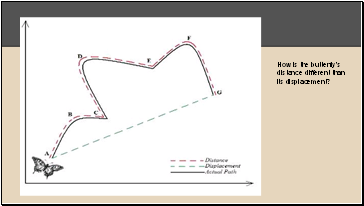 How is the butterflys distance different than its displacement?