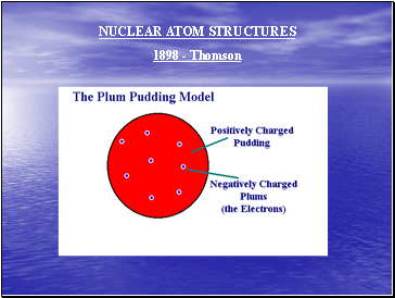 Nuclear atom structures