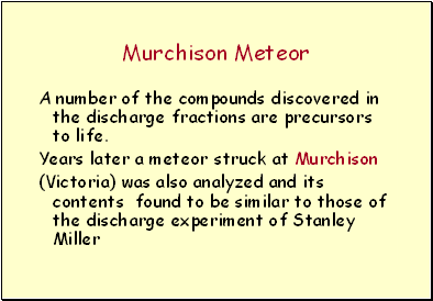 Murchison Meteor
