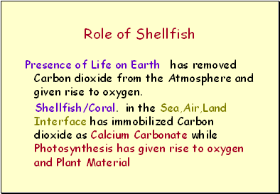 Role of Shellfish