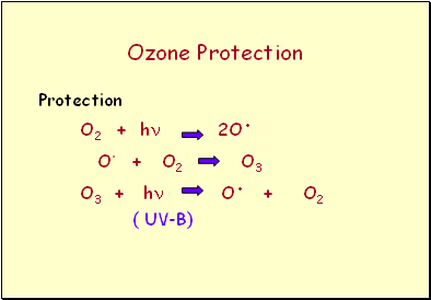 Ozone Protection