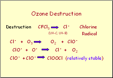 Ozone Destruction