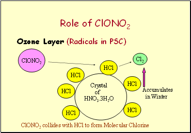 Role of ClONO2