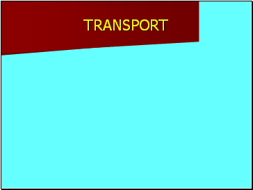 TRANSPORT