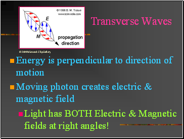 Transverse Waves