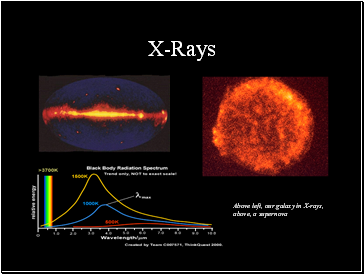 X-Rays