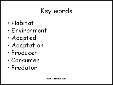 Key words