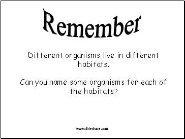 Different organisms live in different habitats. Can you name some organisms for each of the habitats?
