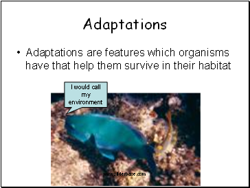 Adaptations