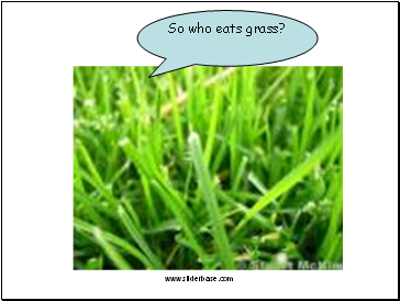 So who eats grass?
