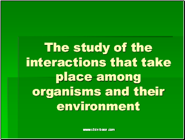 The study of the interactions that take place among organisms and their environment