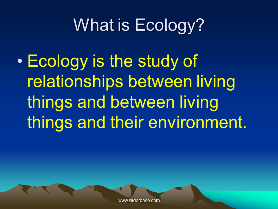 What is ecology. What are ecology. What is Ecologia. Ecology what is it.