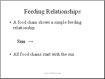 Feeding Relationships