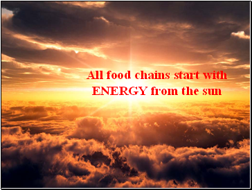 All food chains start with ENERGY from the sun