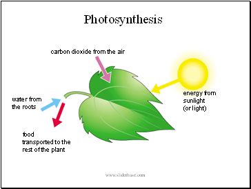 carbon dioxide from the air