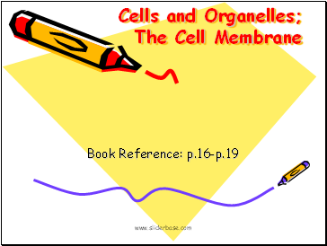 Cells and Organelles;