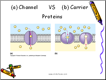 (a) Channel VS (b) Carrier