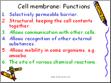 Cell membrane: Functions