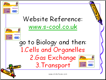 Website Reference: www.s-cool.co.uk go to Biology and then: 1.Cells and Organelles 2.Gas Exchange 3.Transport