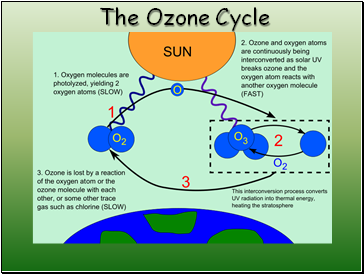 The Ozone Cycle