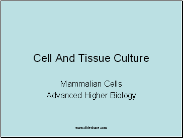 Cell And Tissue Culture