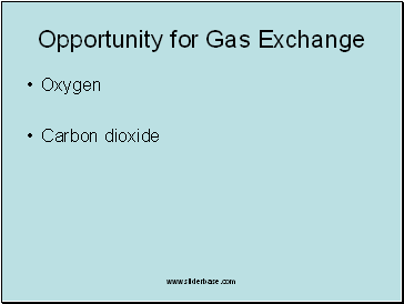Opportunity for Gas Exchange