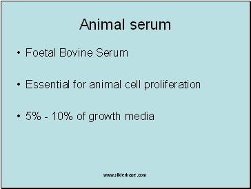 Animal serum