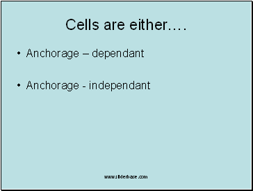 Cells are either….