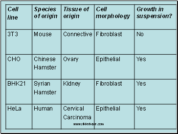 Continuous Cell Line