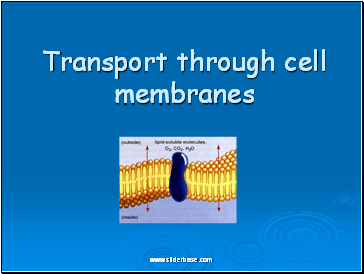 Transport through cell membranes