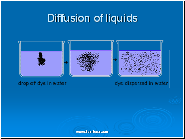 Diffusion of liquids