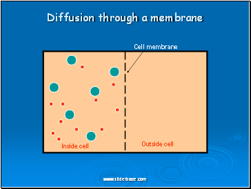 Diffusion through a membrane