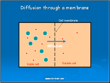 Diffusion through a membrane
