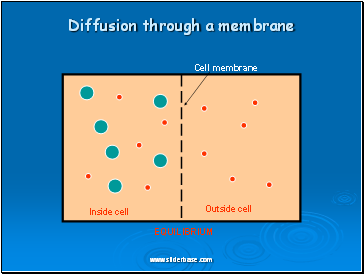 Diffusion through a membrane